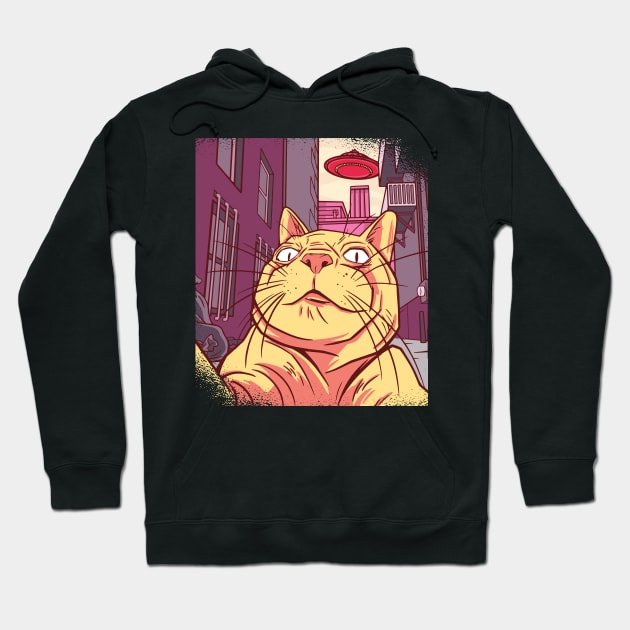 Cat Selfie Funny Cat Meme With UFO Hoodie by Visual Vibes